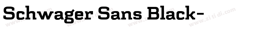 Schwager Sans Black字体转换